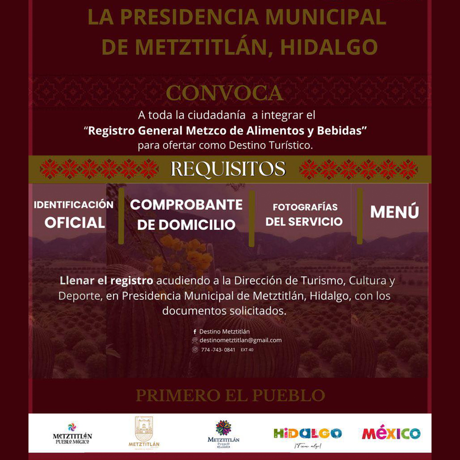 comida metzca