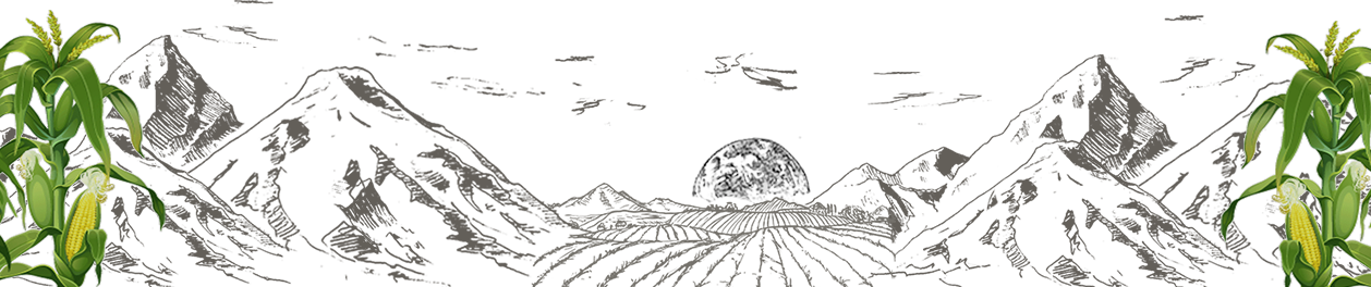 Aventura Metztitlán